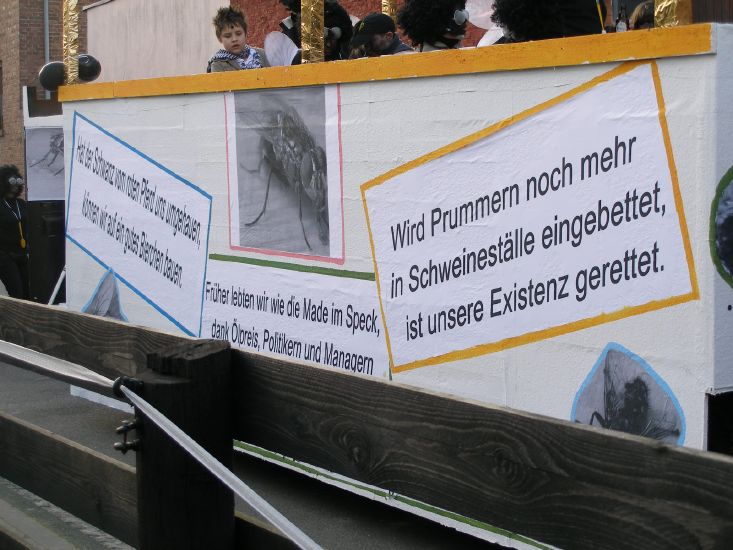 3.2.08 Umzuege Glk, Sueggerath, Prummern 271.jpg